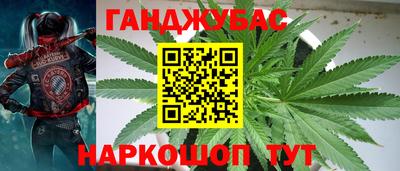 дживик Кимры