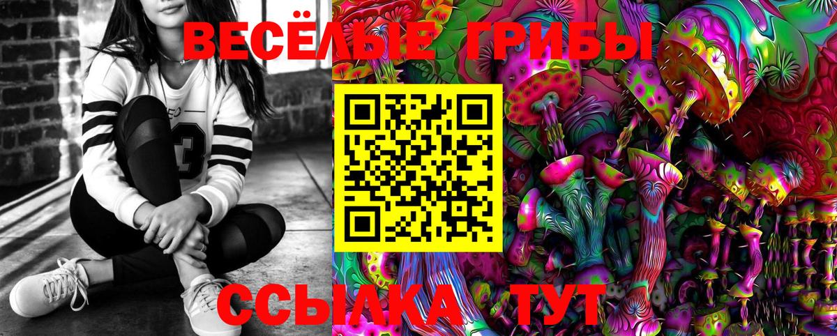 Улан-Удэ  Псилоцибиновые грибы Psilocybine cubensis  Псилоцибиновые грибы Magic Shrooms  Вход с VPN 